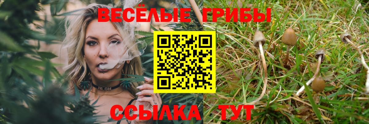 Псилоцибиновые грибы GOLDEN TEACHER Димитровград